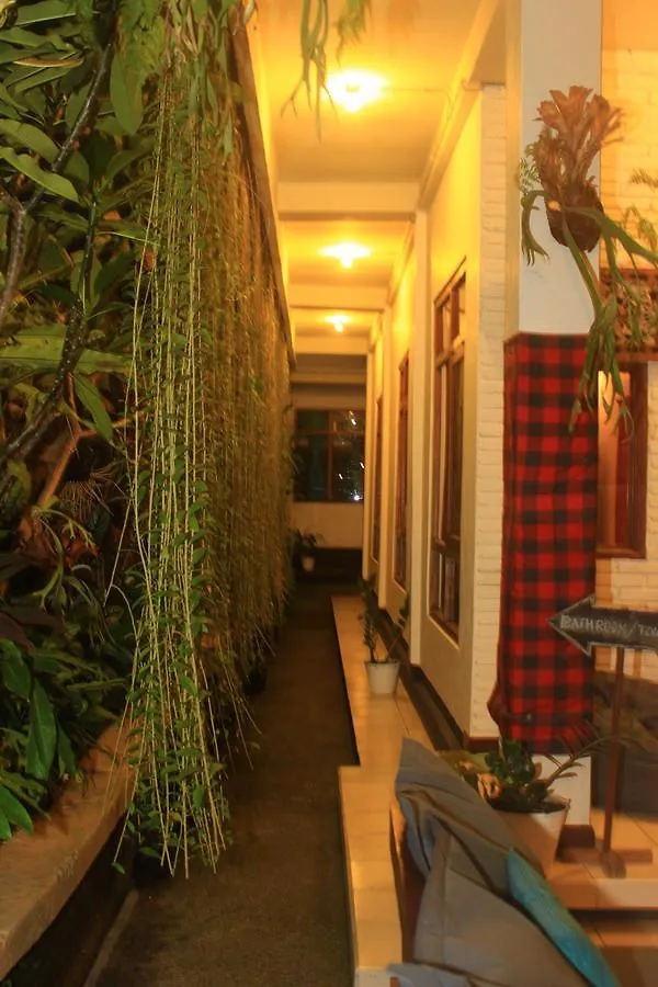Friendly House Bali Hostel Ubud Indonézia