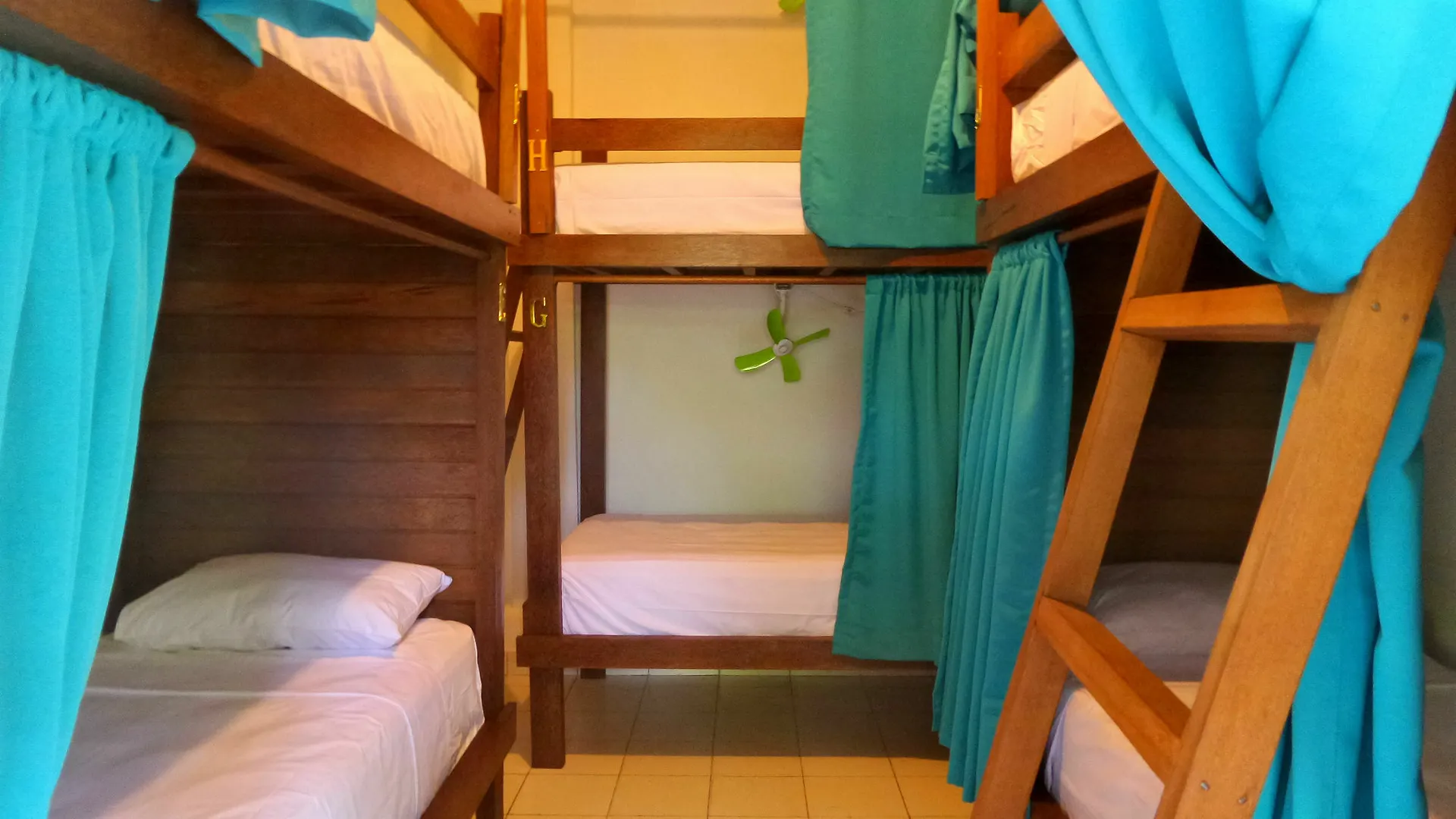 Friendly House Bali Hostel Ubud